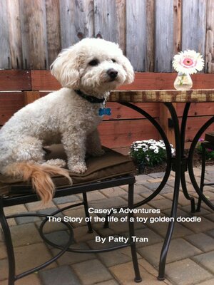 cover image of Casey's Adventures the Story of the life of a toy golden doodle